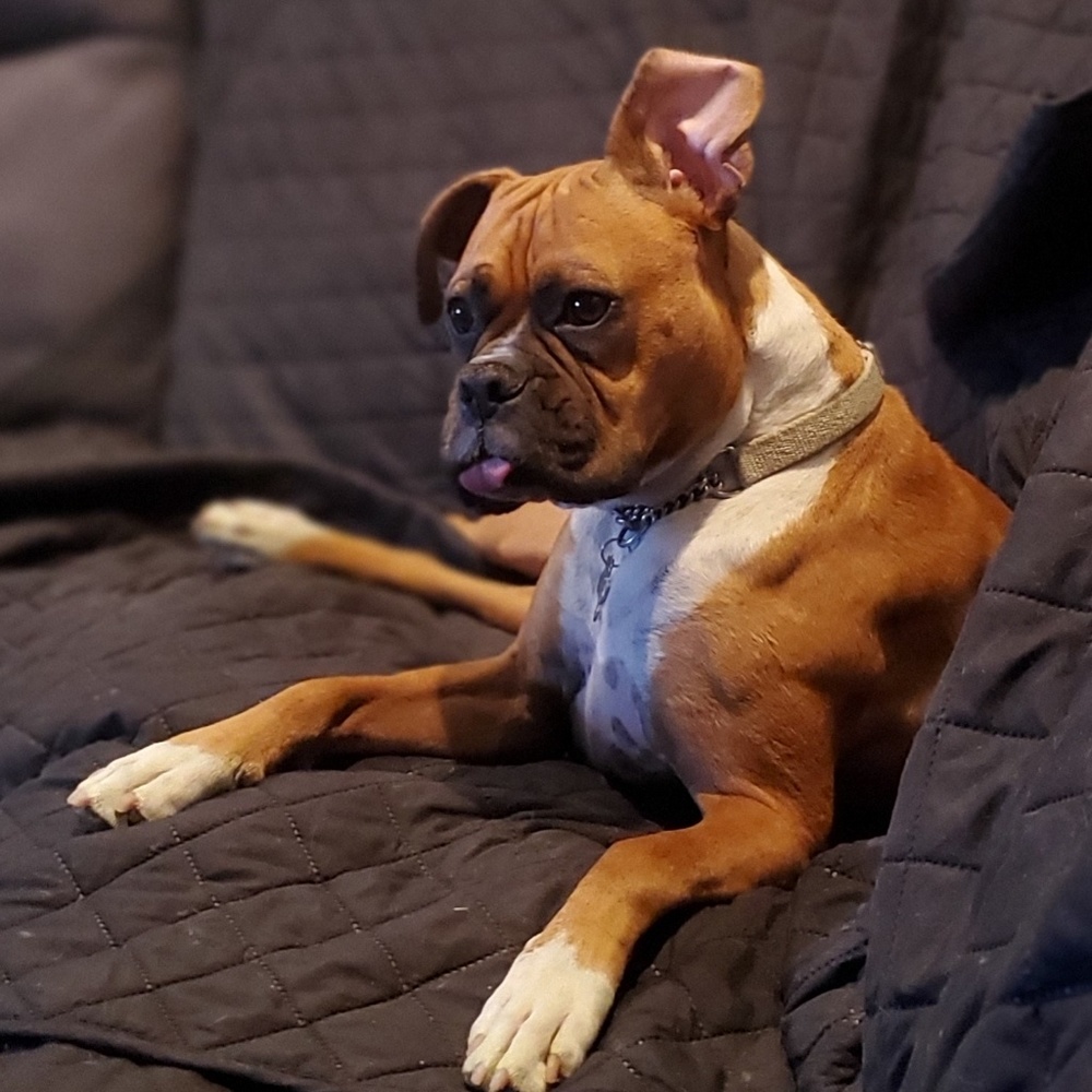 Meet your Posher, Tina